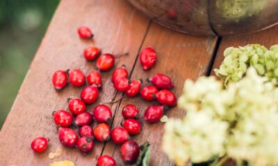 Goji Berries Benefits – Top 3 Reasons YOU Need Them