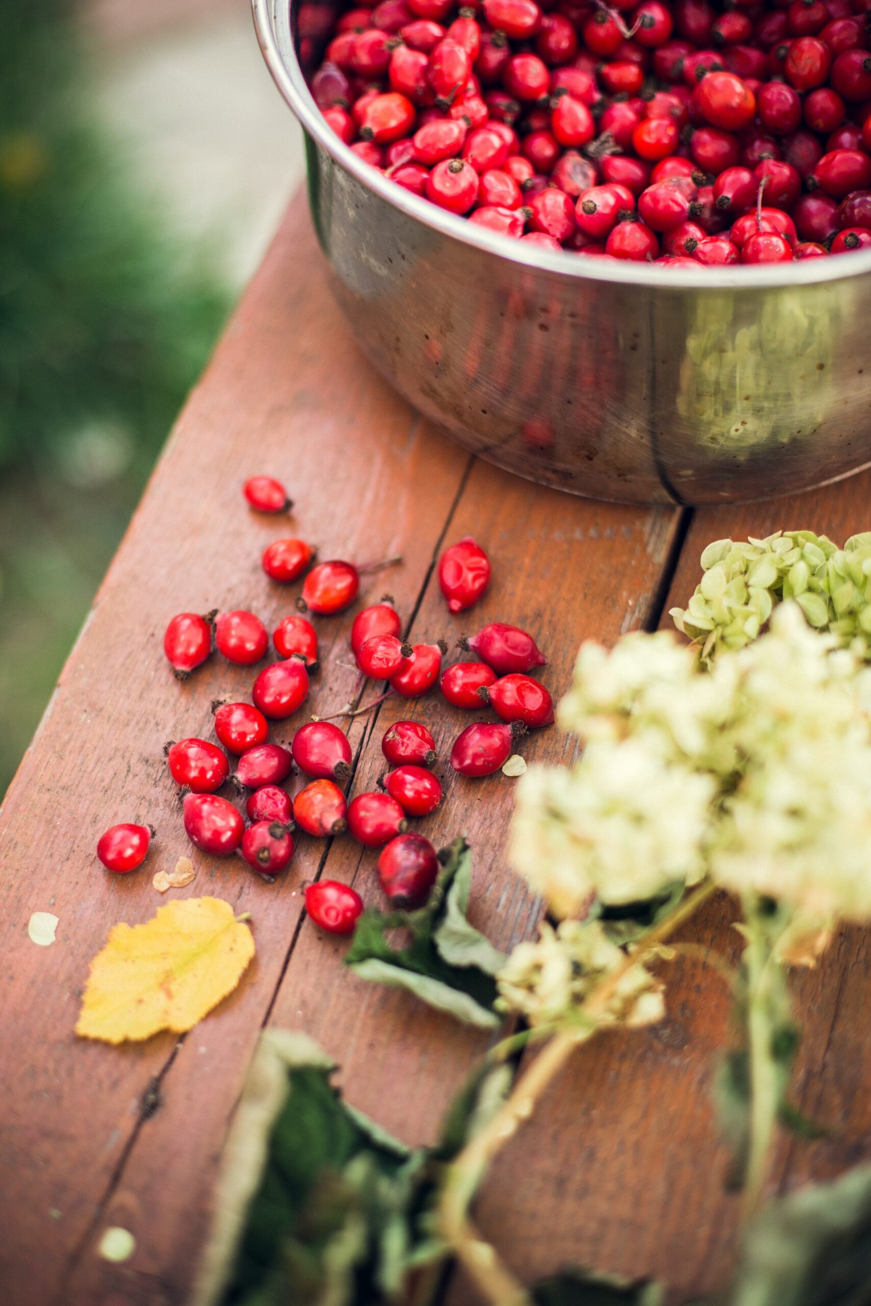 Goji Berries Benefits – Top 3 Reasons YOU Need Them