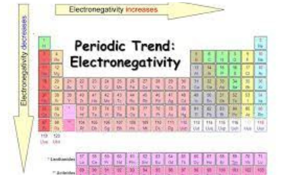 Electronegativity Trend : Understanding Chemical Bonding Forces