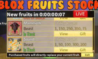 Blox Fruits Stock