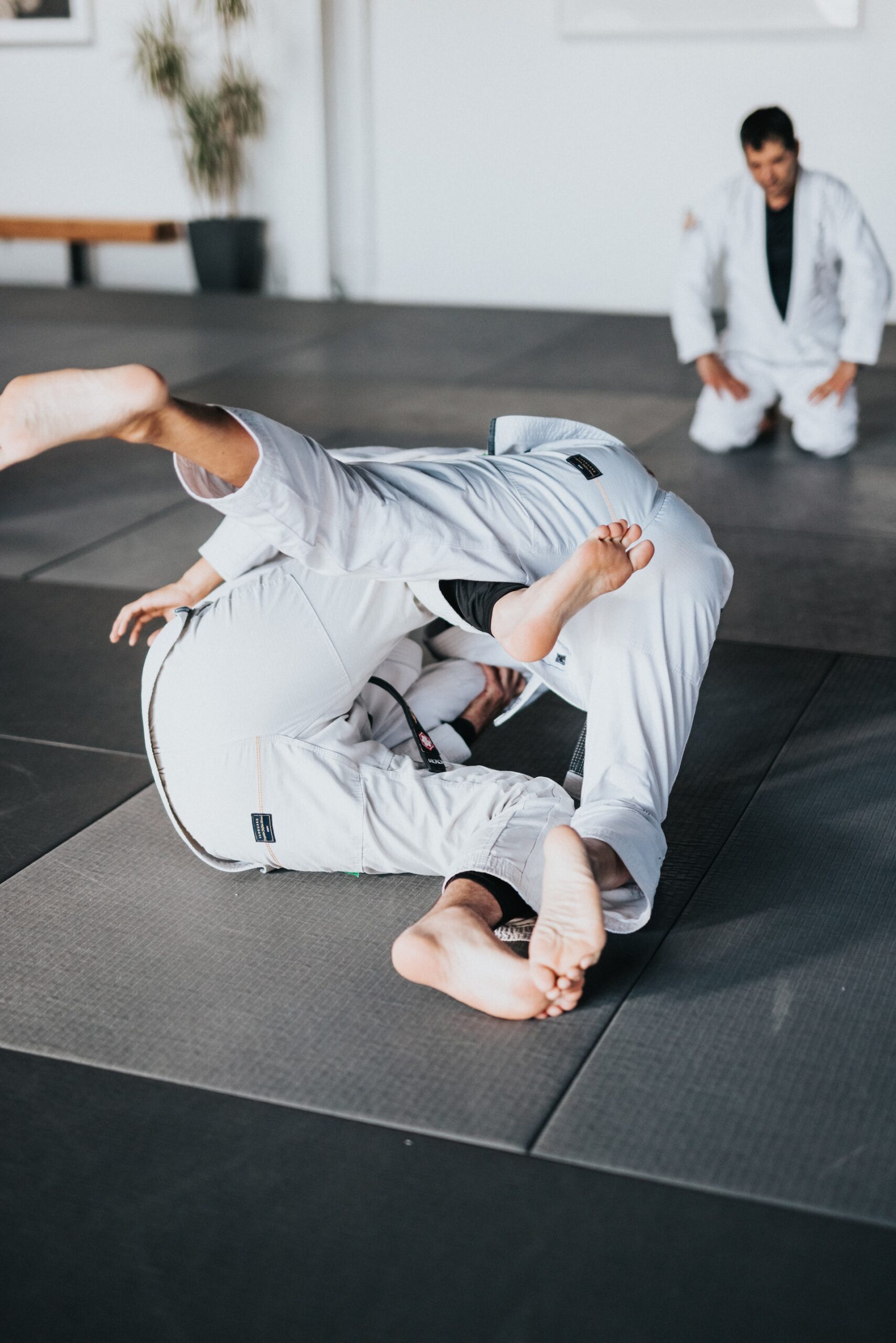 Unveiling the World of SAMBO Classes: A Comprehensive Exploration: