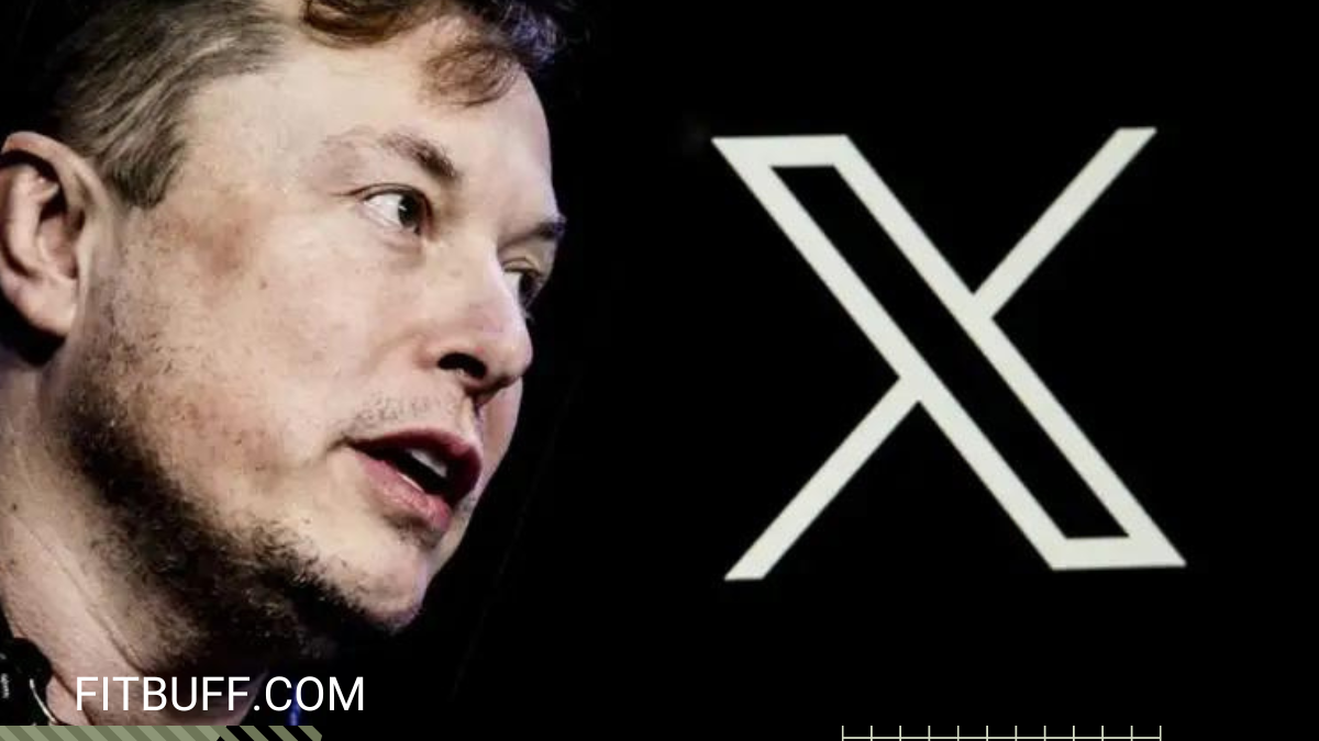 Elon Musk Buys Xvideos