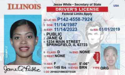 Best Sites for Fake IDs