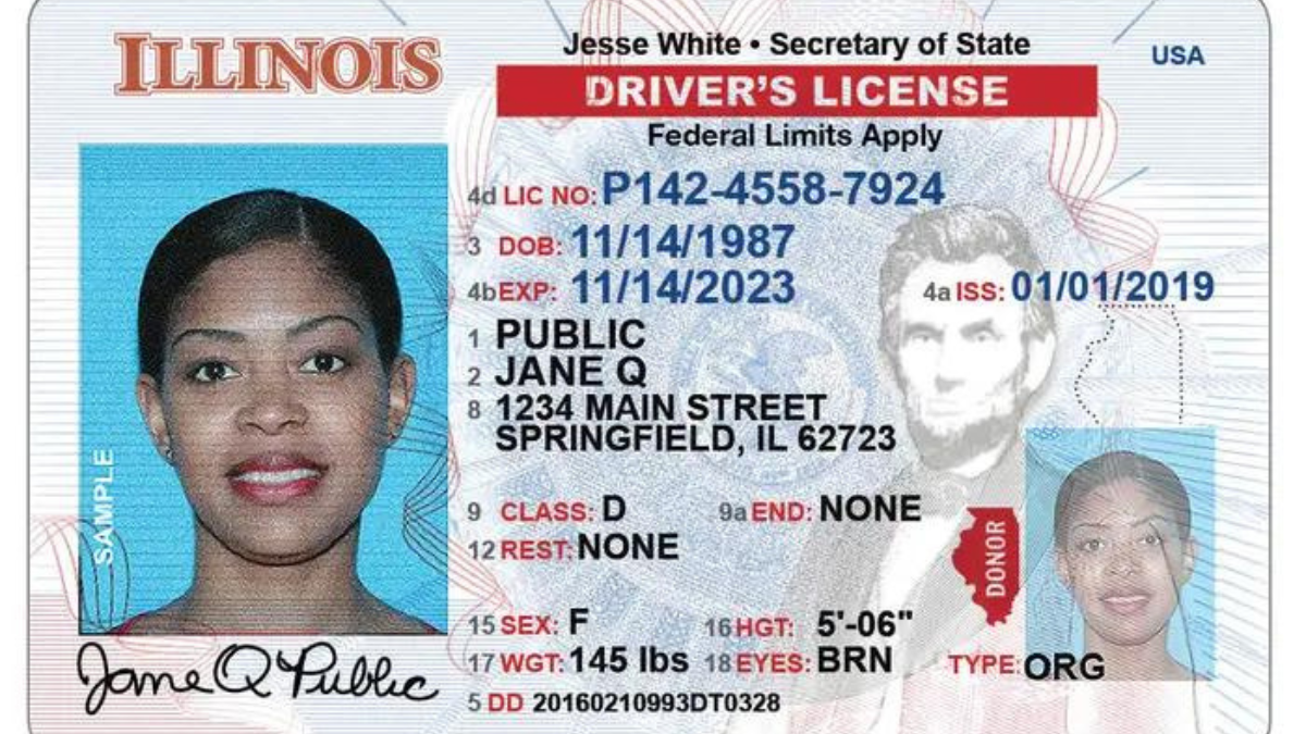 Best Sites for Fake IDs