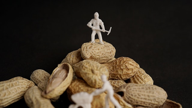 Peanut Nutrition – What You Need to Know