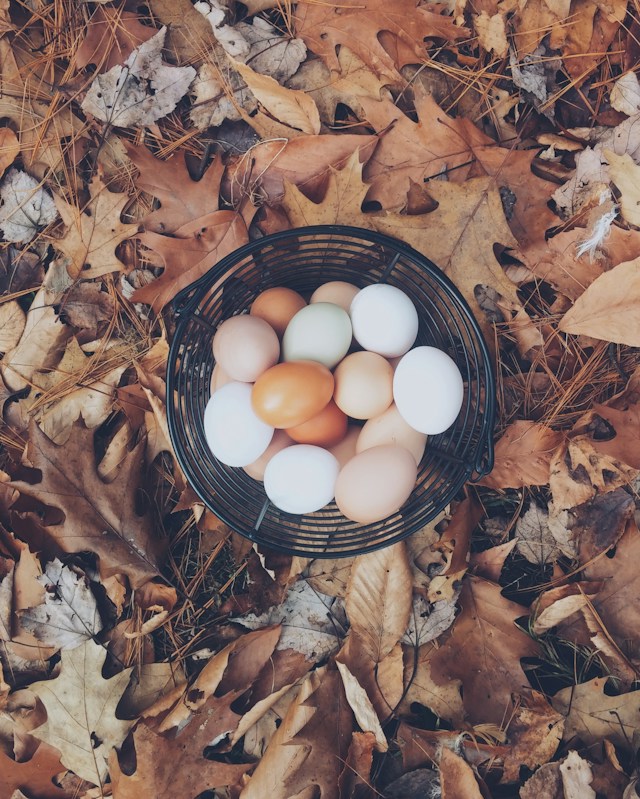 Raw Eggs Health Benefits – A List