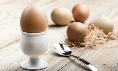 Raw Eggs Health Benefits – An Overview