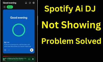 spotify dj not showing up
