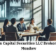 Spartan Capital Securities Llc Broker Jordan Meadow