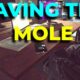 save the mole tarkov