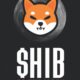 Shiba Moon Coin