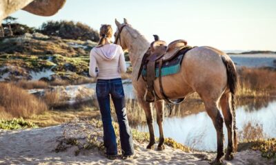 The Comprehensive Guide to Western Saddles