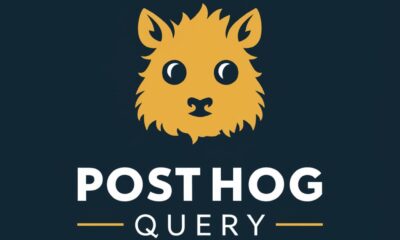 PostHog Query