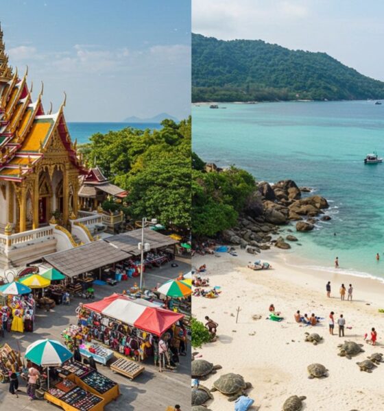Phuket Happiness Trips Turtle Village
